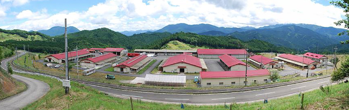 みつえ高原牧場