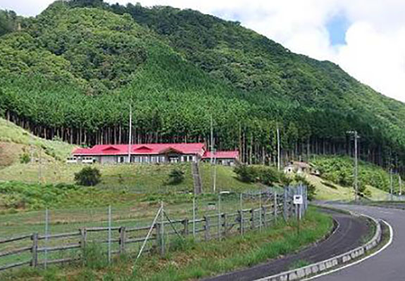 みつえ高原牧場