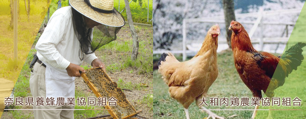 奈良県養蜂農業協同組合/大和肉鶏農業協同組合