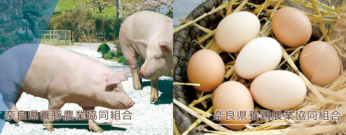 奈良県養豚農業協同組合/奈良県養鶏農業協同組合